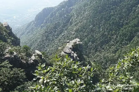 庐山 - 奇石