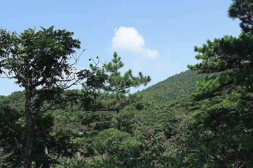 整理了下电脑桌面，顺便修了修博客，舒服