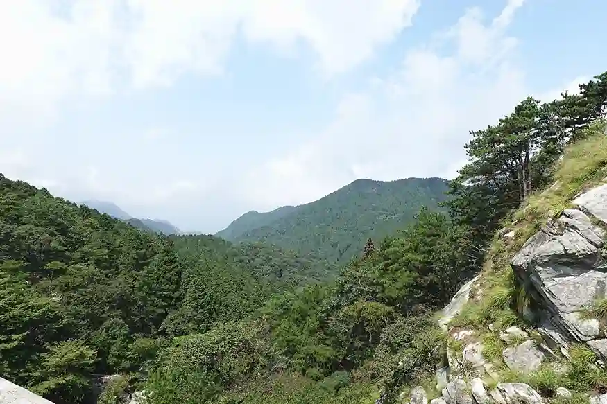 Lepton WASM：在浏览器里无损压缩解压，实现.lep在线查看